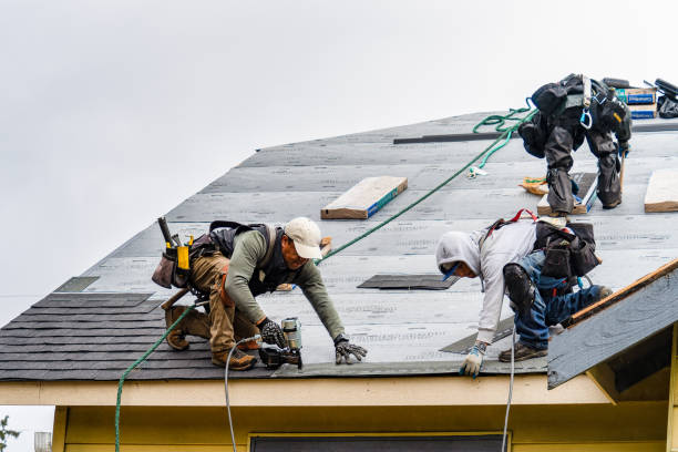 Professional Roofing technician working in Rosburg, WA